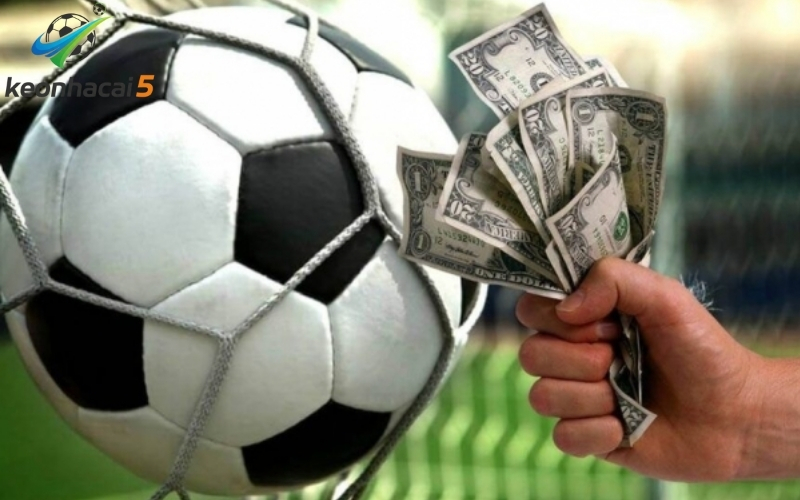 Nhận định tỷ lệ kèo C1: Tỷ lệ ăn thấp nhưng an toàn cao