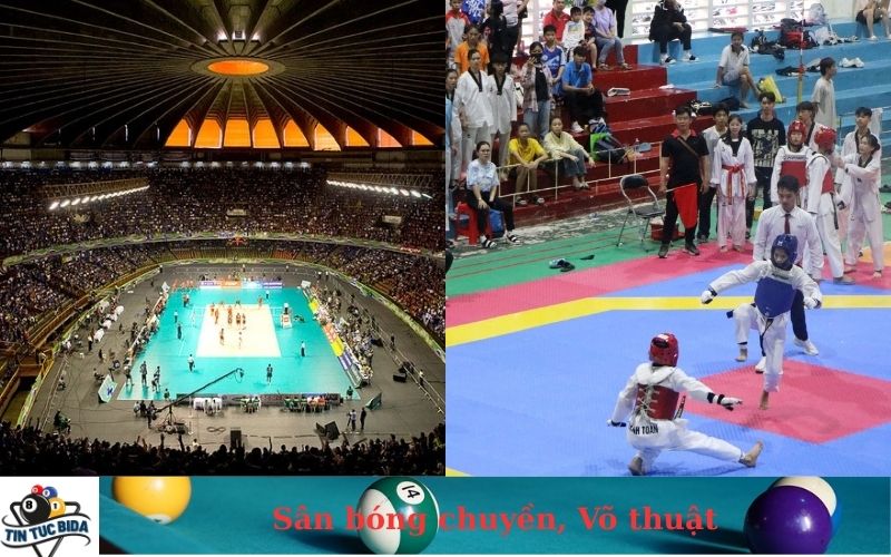 Sân bóng chuyền, Võ thuật