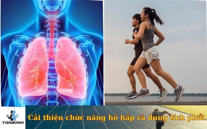 Cải thiện chức năng hô hấp và dung tích phổi