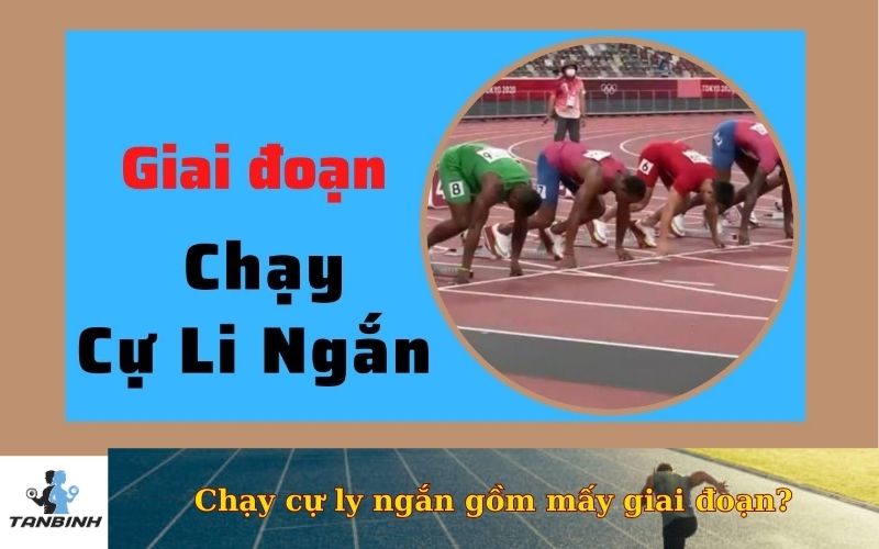Chạy cự ly ngắn gồm mấy giai đoạn