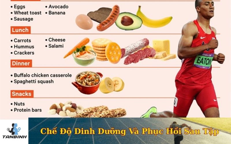 Chế Độ Dinh Dưỡng Và Phục Hồi Sau Tập