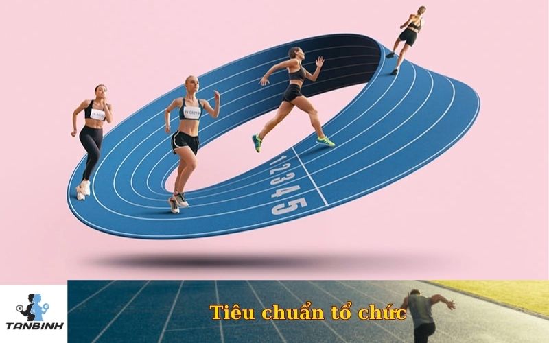 Tiêu chuẩn tổ chức
