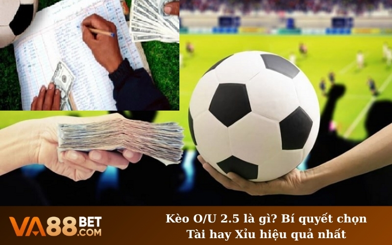 Kèo O/U 2.5 là gì? Bí quyết chọn Tài hay Xỉu hiệu quả nhất