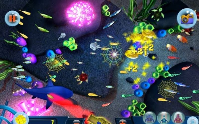 Quản lý nguồn vốn thông minh khi săn cá đổi thưởng