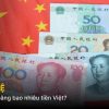 1200 Tệ Bằng Bao Nhiêu Tiền Việt? Tỷ Giá CNY/VND Mới