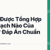 ARN Được Tổng Hợp Từ Mạch Nào Của Gen? Đáp Án Chuẩn