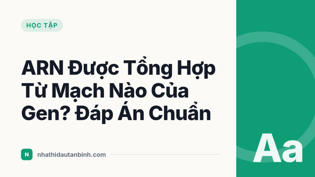 ARN Được Tổng Hợp Từ Mạch Nào Của Gen? Đáp Án Chuẩn