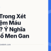 AST Trong Xét Nghiệm Máu Là Gì? Ý Nghĩa Chỉ Số Men Gan