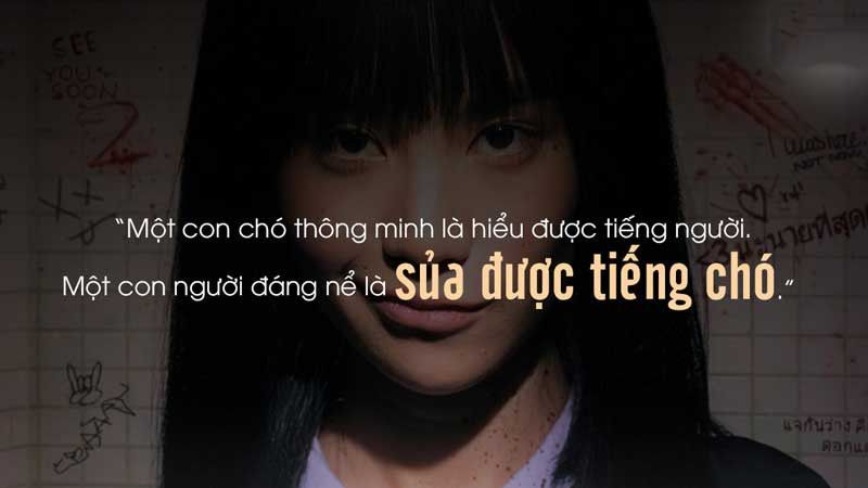 Nguy cơ xung đột leo thang khi sử dụng ngôn từ thô tục