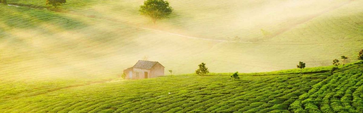 Địa hình vùng núi Tây Bắc Việt Nam có đặc điểm gì?