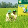 Nông Dân Dùng Hóa Chất Nào Để Tăng Năng Suất Cây Trồng?