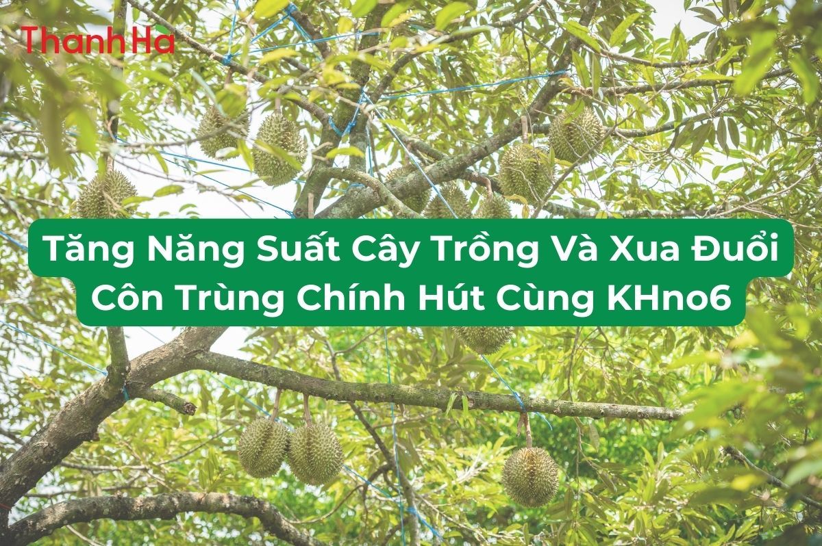 Tuân thủ nguyên tắc 4 đúng khi sử dụng hóa chất để bảo vệ sức khỏe đất