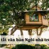 Tóm Tắt Văn Bản Ngôi Nhà Trên Cây Đầy Đủ Và Ngắn Gọn