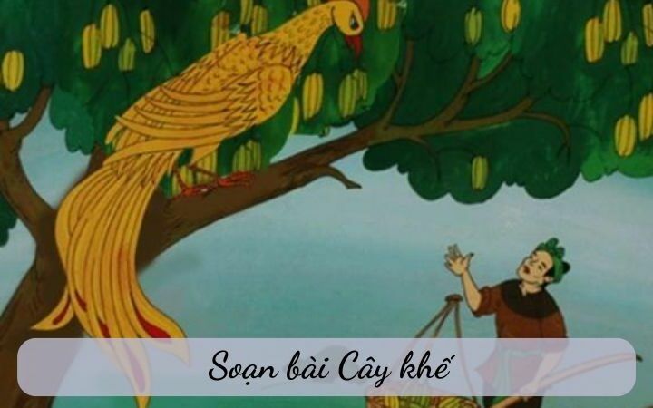 Canh sac thien nhien rung tram U Minh buoi sang som