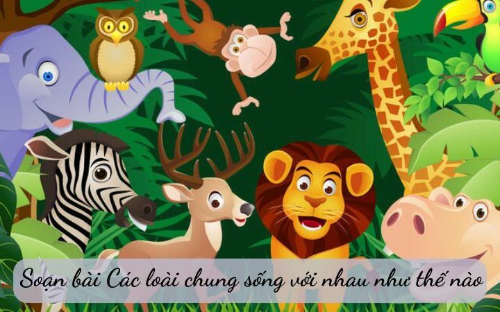 Nhung luu y khi lam bai tom tat van ban ngu van