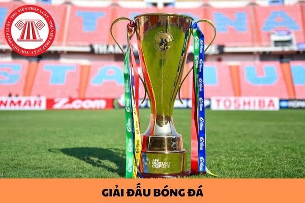 Đội bóng nâng cao cúp vô địch tại đấu trường cúp quốc gia